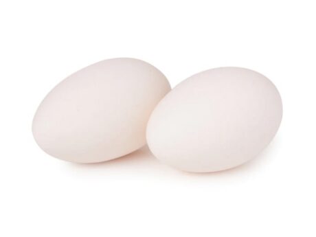 Goose Egg 5 Pack